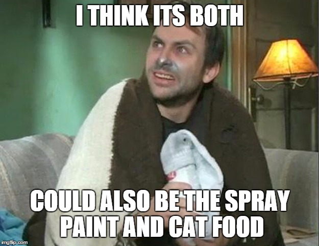 charlie high or drunk | I THINK ITS BOTH COULD ALSO BE THE SPRAY PAINT AND CAT FOOD | image tagged in charlie high or drunk | made w/ Imgflip meme maker
