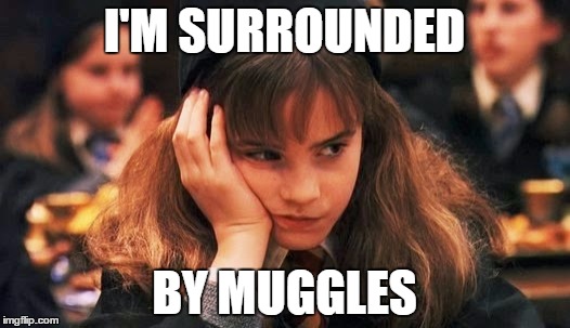 What I feel like in my muggle school, cuz i'm a potterhead... | I'M SURROUNDED BY MUGGLES | image tagged in hermione granger,school | made w/ Imgflip meme maker