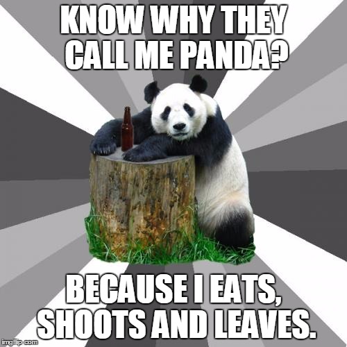 Pickup Line Panda Meme | KNOW WHY THEY CALL ME PANDA? BECAUSE I EATS, SHOOTS AND LEAVES. | image tagged in memes,pickup line panda | made w/ Imgflip meme maker