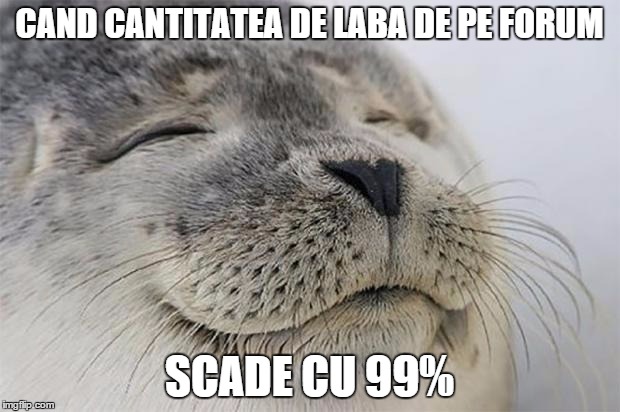 Satisfied Seal Meme | CAND CANTITATEA DE LABA DE PE FORUM SCADE CU 99% | image tagged in memes,satisfied seal | made w/ Imgflip meme maker