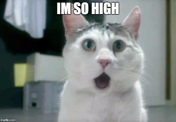 OMG Cat | IM SO HIGH | image tagged in memes,omg cat | made w/ Imgflip meme maker