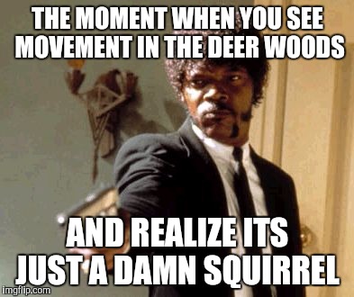 Say That Again I Dare You Meme | THE MOMENT WHEN YOU SEE MOVEMENT IN THE DEER WOODS AND REALIZE ITS JUST A DAMN SQUIRREL | image tagged in memes,say that again i dare you | made w/ Imgflip meme maker