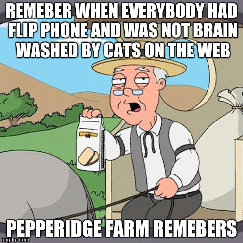 Pepperidge Farm Remembers Meme | REMEBER WHEN EVERYBODY HAD FLIP PHONE AND WAS NOT BRAIN WASHED BY CATS ON THE WEB PEPPERIDGE FARM REMEBERS | image tagged in memes,pepperidge farm remembers | made w/ Imgflip meme maker