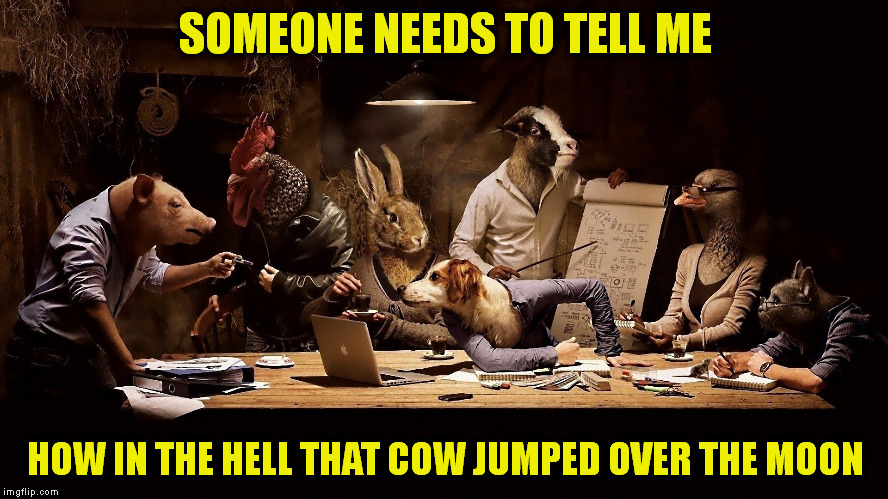 That is the Question.. | SOMEONE NEEDS TO TELL ME HOW IN THE HELL THAT COW JUMPED OVER THE MOON | image tagged in meme,fairy tail | made w/ Imgflip meme maker