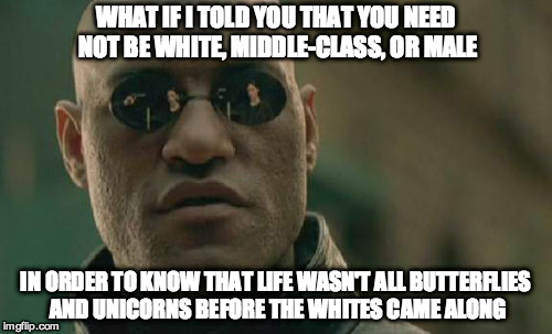 WHAT IF I TOLD YOU THAT YOU NEED NOT BE WHITE, MIDDLE-CLASS, OR MALE IN ORDER TO KNOW THAT LIFE WASN'T ALL BUTTERFLIES AND UNICORNS BEFORE T | image tagged in memes,matrix morpheus | made w/ Imgflip meme maker