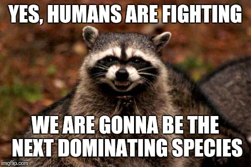 Stop this war, this is what they want! | YES, HUMANS ARE FIGHTING WE ARE GONNA BE THE NEXT DOMINATING SPECIES | image tagged in memes,evil plotting raccoon,war | made w/ Imgflip meme maker