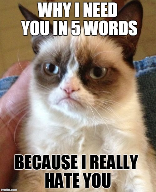 Grumpy Cat | WHY I NEED YOU IN 5 WORDS BECAUSE I REALLY HATE YOU | image tagged in memes,grumpy cat | made w/ Imgflip meme maker