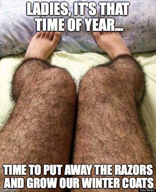 Hairy legs | LADIES, IT'S THAT TIME OF YEAR... TIME TO PUT AWAY THE RAZORS AND GROW OUR WINTER COATS | image tagged in hairy legs | made w/ Imgflip meme maker