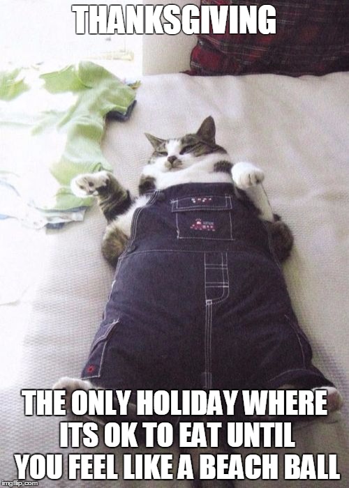 Fat Cat | THANKSGIVING THE ONLY HOLIDAY WHERE ITS OK TO EAT UNTIL YOU FEEL LIKE A BEACH BALL | image tagged in memes,fat cat | made w/ Imgflip meme maker