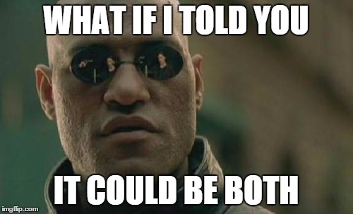 Matrix Morpheus Meme | WHAT IF I TOLD YOU IT COULD BE BOTH | image tagged in memes,matrix morpheus | made w/ Imgflip meme maker