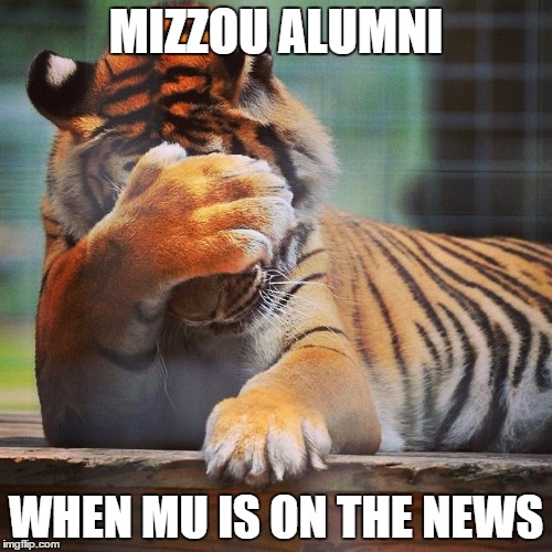 Facepalm Tiger | MIZZOU ALUMNI WHEN MU IS ON THE NEWS | image tagged in facepalm tiger | made w/ Imgflip meme maker