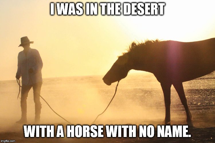 I WAS IN THE DESERT WITH A HORSE WITH NO NAME. | made w/ Imgflip meme maker