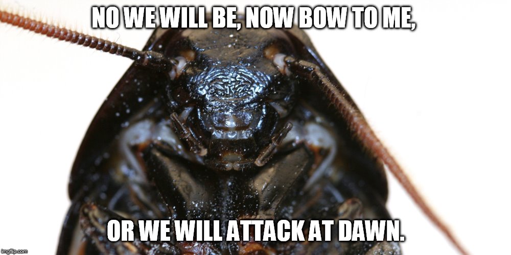 NO WE WILL BE, NOW BOW TO ME, OR WE WILL ATTACK AT DAWN. | made w/ Imgflip meme maker