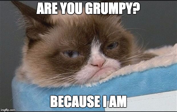 Grumpy Cat | ARE YOU GRUMPY? BECAUSE I AM | image tagged in grumpy cat | made w/ Imgflip meme maker