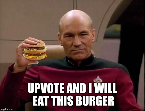 Picard with Big Mac | UPVOTE AND I WILL EAT THIS BURGER | image tagged in picard with big mac | made w/ Imgflip meme maker