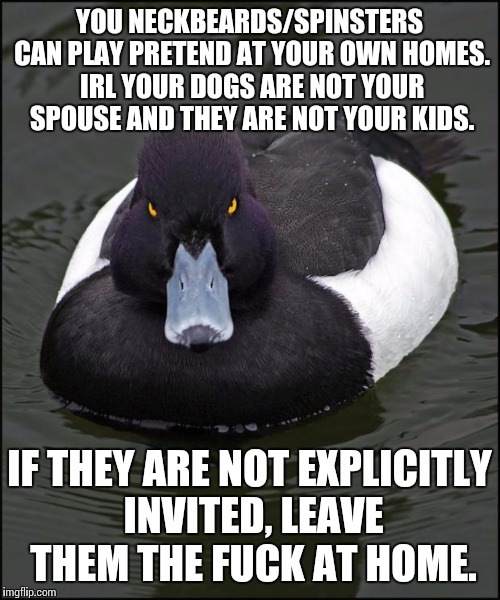 hi res angry advice mallard | YOU NECKBEARDS/SPINSTERS CAN PLAY PRETEND AT YOUR OWN HOMES. IRL YOUR DOGS ARE NOT YOUR SPOUSE AND THEY ARE NOT YOUR KIDS. IF THEY ARE NOT E | image tagged in hi res angry advice mallard,AdviceAnimals | made w/ Imgflip meme maker