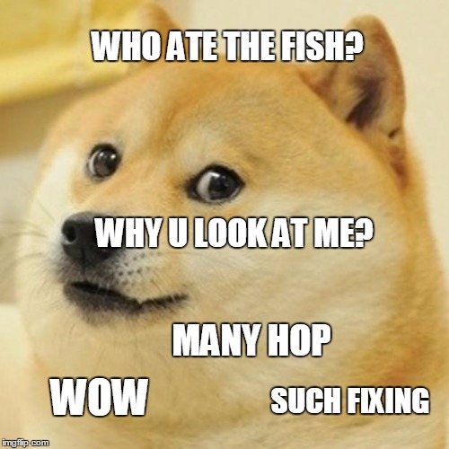 Doge Meme | WHO ATE THE FISH? WHY U LOOK AT ME? MANY HOP WOW SUCH FIXING | image tagged in memes,doge | made w/ Imgflip meme maker