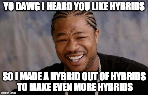 Yo Dawg Heard You Meme | YO DAWG I HEARD YOU LIKE HYBRIDS SO I MADE A HYBRID OUT OF HYBRIDS TO MAKE EVEN MORE HYBRIDS | image tagged in memes,yo dawg heard you | made w/ Imgflip meme maker