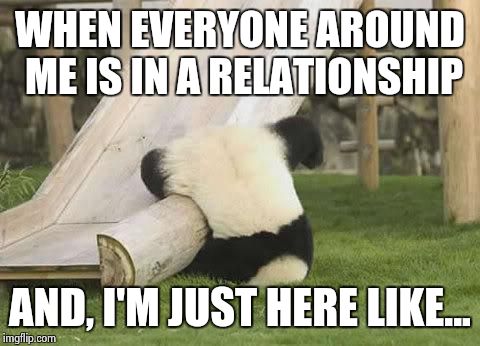 Panda Fail | WHEN EVERYONE AROUND ME IS IN A RELATIONSHIP AND, I'M JUST HERE LIKE... | image tagged in panda fail | made w/ Imgflip meme maker