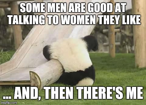 Panda Fail | SOME MEN ARE GOOD AT TALKING TO WOMEN THEY LIKE ... AND, THEN THERE'S ME | image tagged in panda fail | made w/ Imgflip meme maker