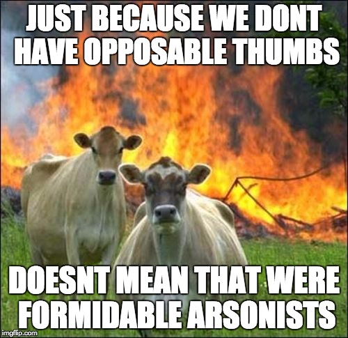 Evil Cows | JUST BECAUSE WE DONT HAVE OPPOSABLE THUMBS DOESNT MEAN THAT WERE FORMIDABLE ARSONISTS | image tagged in memes,evil cows | made w/ Imgflip meme maker