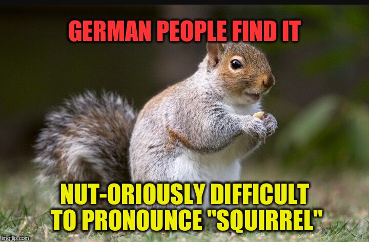 Googol's useless fact #1 (I'm going to do a load of these) | NUT-ORIOUSLY DIFFICULT TO PRONOUNCE "SQUIRREL" GERMAN PEOPLE FIND IT | image tagged in squirrel,googol's useless facts,googol,germans | made w/ Imgflip meme maker