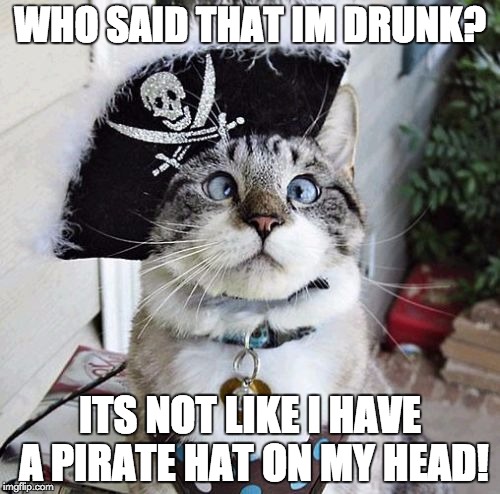 Spangles | WHO SAID THAT IM DRUNK? ITS NOT LIKE I HAVE A PIRATE HAT ON MY HEAD! | image tagged in memes,spangles | made w/ Imgflip meme maker