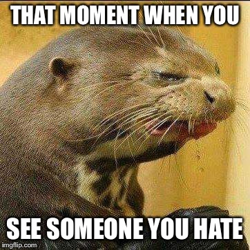 Disgusted Otter | THAT MOMENT WHEN YOU SEE SOMEONE YOU HATE | image tagged in disgusted otter | made w/ Imgflip meme maker