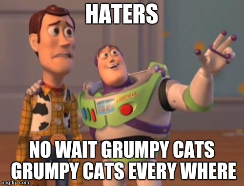 X, X Everywhere | HATERS NO WAIT GRUMPY CATS GRUMPY CATS EVERY WHERE | image tagged in memes,x x everywhere | made w/ Imgflip meme maker