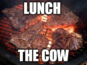 LUNCH THE COW | made w/ Imgflip meme maker