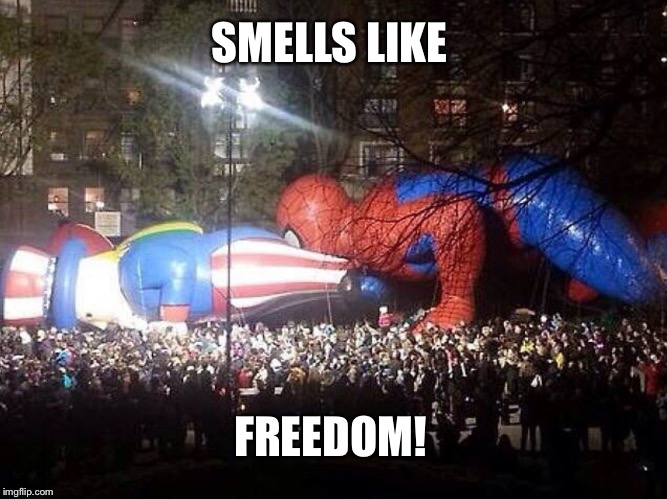 SMELLS LIKE FREEDOM! | image tagged in uncle sam | made w/ Imgflip meme maker