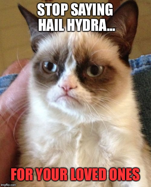 Grumpy Cat Meme | STOP SAYING HAIL HYDRA... FOR YOUR LOVED ONES | image tagged in memes,grumpy cat | made w/ Imgflip meme maker