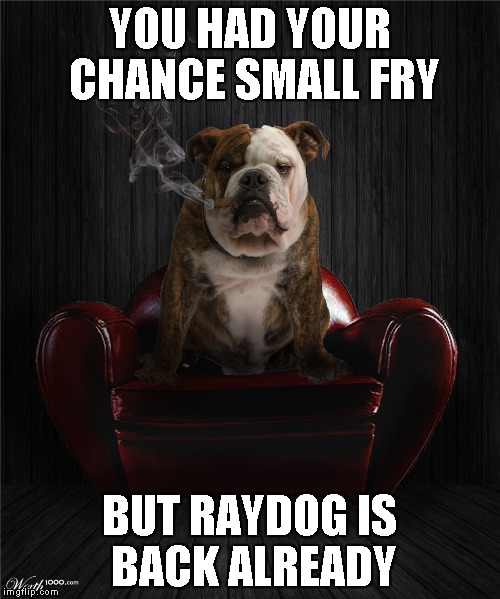YOU HAD YOUR CHANCE SMALL FRY BUT RAYDOG IS BACK ALREADY | made w/ Imgflip meme maker