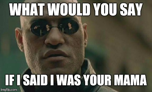 Matrix Morpheus Meme | WHAT WOULD YOU SAY IF I SAID I WAS YOUR MAMA | image tagged in memes,matrix morpheus | made w/ Imgflip meme maker