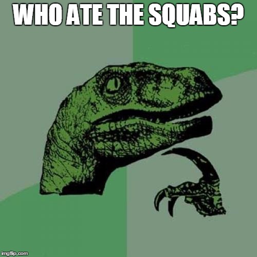 Philosoraptor | WHO ATE THE SQUABS? | image tagged in memes,philosoraptor | made w/ Imgflip meme maker