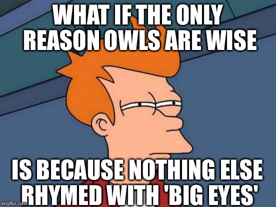 Futurama Fry | WHAT IF THE ONLY REASON OWLS ARE WISE IS BECAUSE NOTHING ELSE RHYMED WITH 'BIG EYES' | image tagged in memes,futurama fry | made w/ Imgflip meme maker