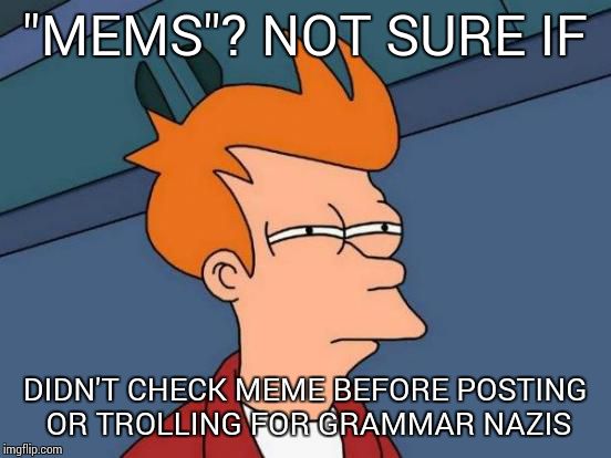 Futurama Fry Meme | "MEMS"? NOT SURE IF DIDN'T CHECK MEME BEFORE POSTING OR TROLLING FOR GRAMMAR NAZIS | image tagged in memes,futurama fry | made w/ Imgflip meme maker