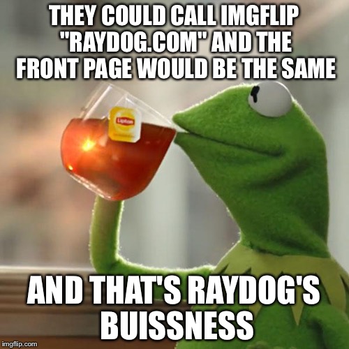 If raydog sees this..... | THEY COULD CALL IMGFLIP "RAYDOG.COM" AND THE FRONT PAGE WOULD BE THE SAME AND THAT'S RAYDOG'S BUISSNESS | image tagged in memes,kermit the frog | made w/ Imgflip meme maker