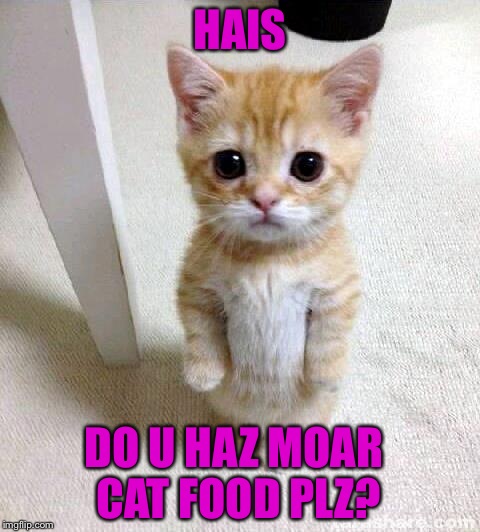 Cute Cat Meme | HAIS DO U HAZ MOAR CAT FOOD PLZ? | image tagged in memes,cute cat | made w/ Imgflip meme maker