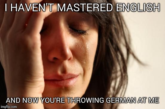 First World Problems Meme | I HAVEN'T MASTERED ENGLISH AND NOW YOU'RE THROWING GERMAN AT ME | image tagged in memes,first world problems | made w/ Imgflip meme maker