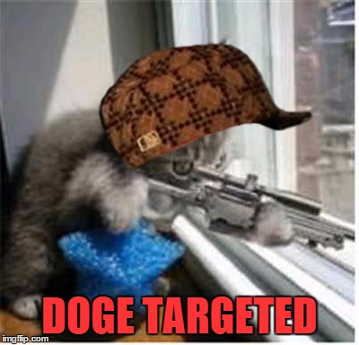 cats with guns | DOGE TARGETED | image tagged in cats with guns,scumbag | made w/ Imgflip meme maker