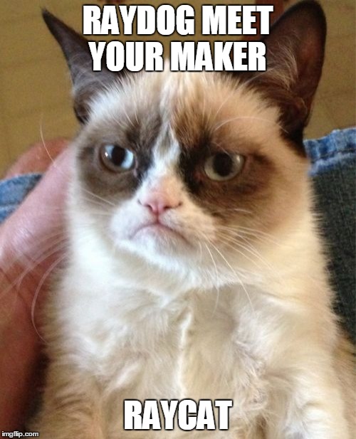 Grumpy Cat Meme | RAYDOG MEET YOUR MAKER RAYCAT | image tagged in memes,grumpy cat | made w/ Imgflip meme maker