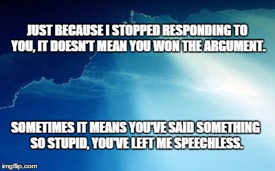 Sun behind clouds | JUST BECAUSE I STOPPED RESPONDING TO YOU, IT DOESN'T MEAN YOU WON THE ARGUMENT. SOMETIMES IT MEANS YOU'VE SAID SOMETHING SO STUPID, YOU'VE L | image tagged in sun behind clouds | made w/ Imgflip meme maker