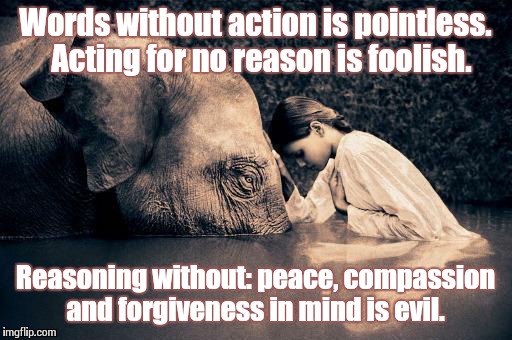 Words without action is pointless. Acting for no reason is foolish. Reasoning without: peace, compassion and forgiveness in mind is evil. | image tagged in wisdom | made w/ Imgflip meme maker