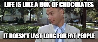 Life Is like A Box Of Chocolates It Doesn't Last Long For Fat people | LIFE IS LIKE A BOX OF CHOCOLATES IT DOESN'T LAST LONG FOR FAT PEOPLE | image tagged in forrest gump | made w/ Imgflip meme maker