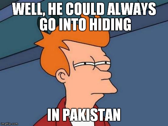 Futurama Fry Meme | WELL, HE COULD ALWAYS GO INTO HIDING IN PAKISTAN | image tagged in memes,futurama fry | made w/ Imgflip meme maker