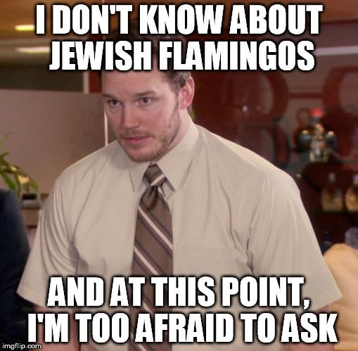 Afraid To Ask Andy | I DON'T KNOW ABOUT JEWISH FLAMINGOS AND AT THIS POINT, I'M TOO AFRAID TO ASK | image tagged in memes,afraid to ask andy | made w/ Imgflip meme maker