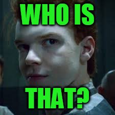 WHO IS THAT? | image tagged in who is that | made w/ Imgflip meme maker