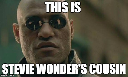 Matrix Morpheus | THIS IS STEVIE WONDER'S COUSIN | image tagged in memes,matrix morpheus | made w/ Imgflip meme maker