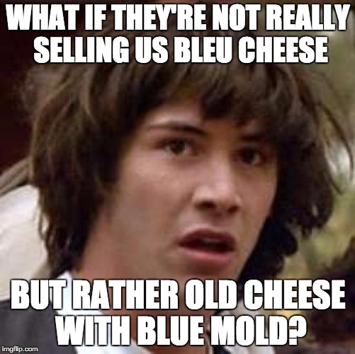 Conspiracy Keanu Meme | WHAT IF THEY'RE NOT REALLY SELLING US BLEU CHEESE BUT RATHER OLD CHEESE WITH BLUE MOLD? | image tagged in memes,conspiracy keanu | made w/ Imgflip meme maker